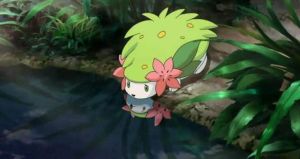 冥王龍與冰空的花束 冥王龍與冰空的花束