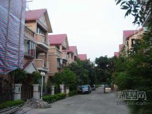 金業別墅花園 金業別墅花園