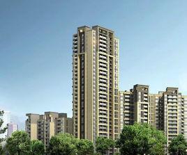 金域緹香 金域緹香