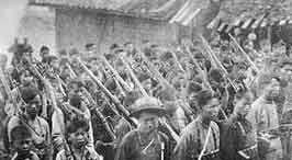 海豐農民運動 海豐農民運動