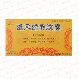 追風透骨膠囊 追風透骨膠囊