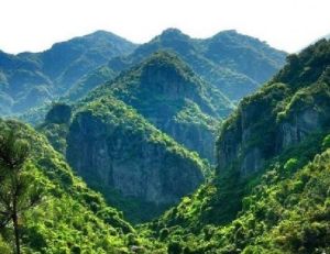 兔耳山農業觀光園 兔耳山農業觀光園