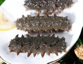 鹽漬海參 鹽漬海參