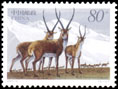 《藏羚》特種郵票