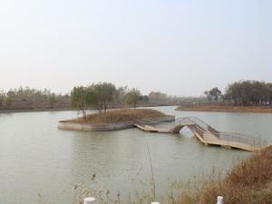 五河沱湖保護區