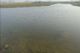 水質參數 水質參數