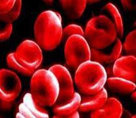 尿紅細胞偏高 尿紅細胞偏高