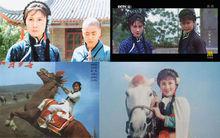 丁嵐[新加坡籍女演員]