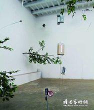 曾浩藝術作品欣賞