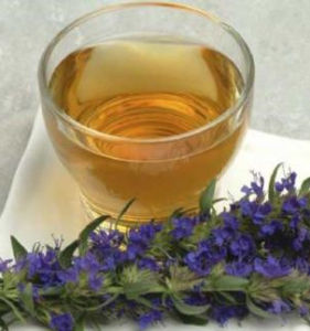 馬鞭草茶 馬鞭草茶