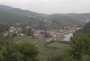 龍寨村[西安市藍田縣]