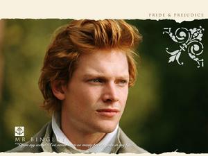 傲慢與偏見[法國 / 英國 / 美國2005年凱拉&middot;奈特利主演電影]