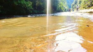 大坡鄉[貴州省習水縣大坡鄉]