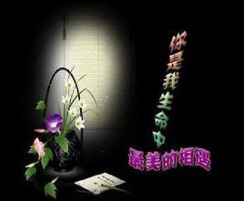 你是我生命中最美的相遇