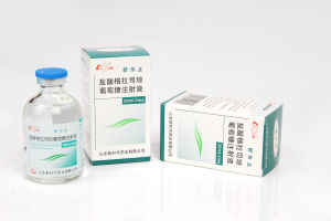 鹽酸格拉司瓊葡萄糖注射液 鹽酸格拉司瓊葡萄糖注射液