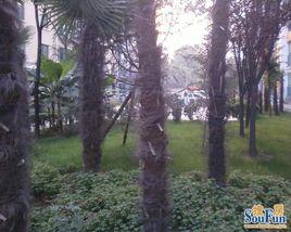 榮德[清代人名]