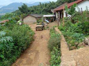 公勐膠隊自然村 公勐膠隊自然村