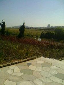 臧家村[山東煙臺市海陽區下轄村]