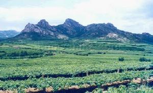 大澤山風景名勝區