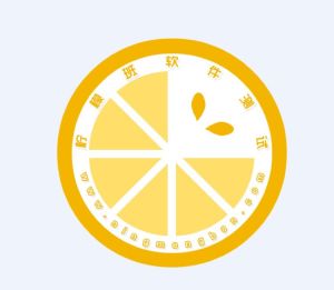 湖南省零檬信息技術有限公司 湖南省零檬信息技術有限公司