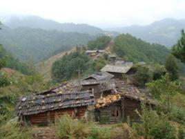 大溝村[河南南陽市臥龍區龍興鄉下轄村]