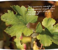 使命酒莊可持續發展