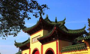 鹿野聖安宮 鹿野聖安宮