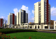 上海臨港泥城分城區 上海臨港泥城分城區