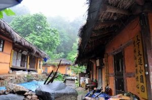 德川鶴姬 德川鶴姬