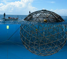 深海遙感養殖網箱