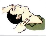 頸動脈竇的確定方法