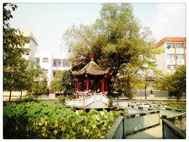 貴州省三穗中學 貴州省三穗中學