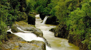 宋山森林公園 宋山森林公園