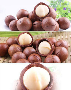 夏威夷果 夏威夷果