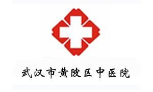 武漢市黃陂區中醫院