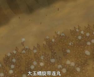 小鳴[《火影忍者》主角漩渦鳴人暱稱]