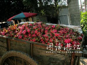 滿載而歸滿載而歸