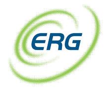 ERG LOGO
