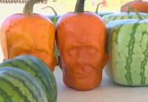 人臉南瓜 人臉南瓜