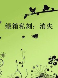 綠箱私刻：消失