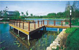 西安城市運動公園 西安城市運動公園