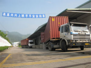 福建元力活性炭股份有限公司