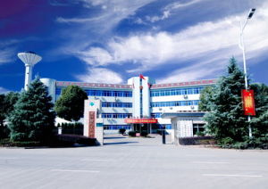 金華市孝順高級中學