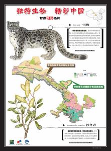 甘肅省生物名片海報