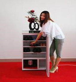 電子智慧型鞋櫃