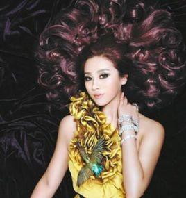 放愛[張冬玲演唱歌曲]