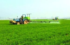 大河灣農場 大河灣農場