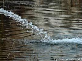 一池活水 一池活水