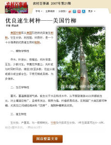 農村百事通，美國竹柳學術介紹