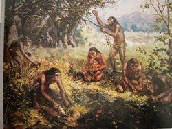 Peking Man Peking Man